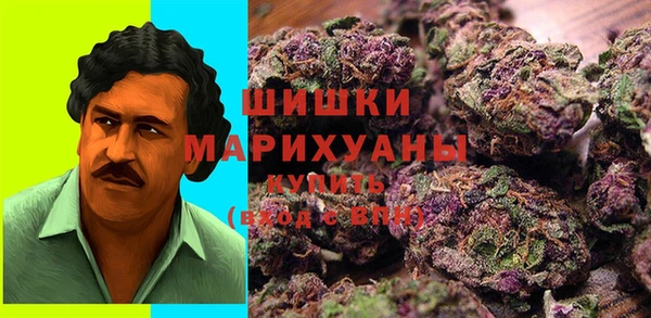 прущие крисы Надым