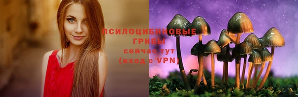 прущие крисы Надым
