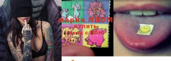 прущие грибы Навашино