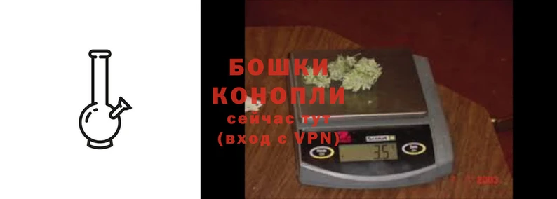 прущие грибы Навашино
